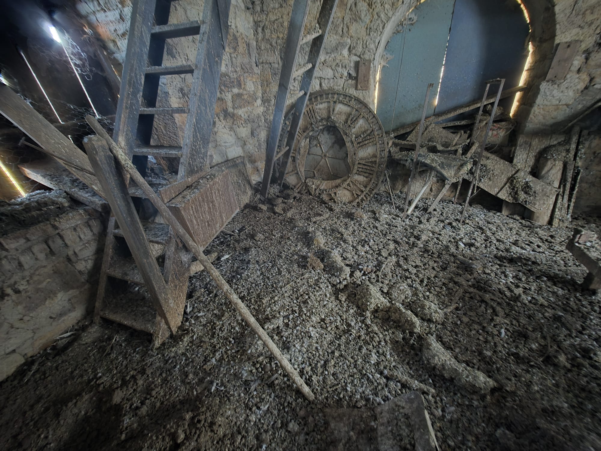 Interior damage caused by guano contamination
