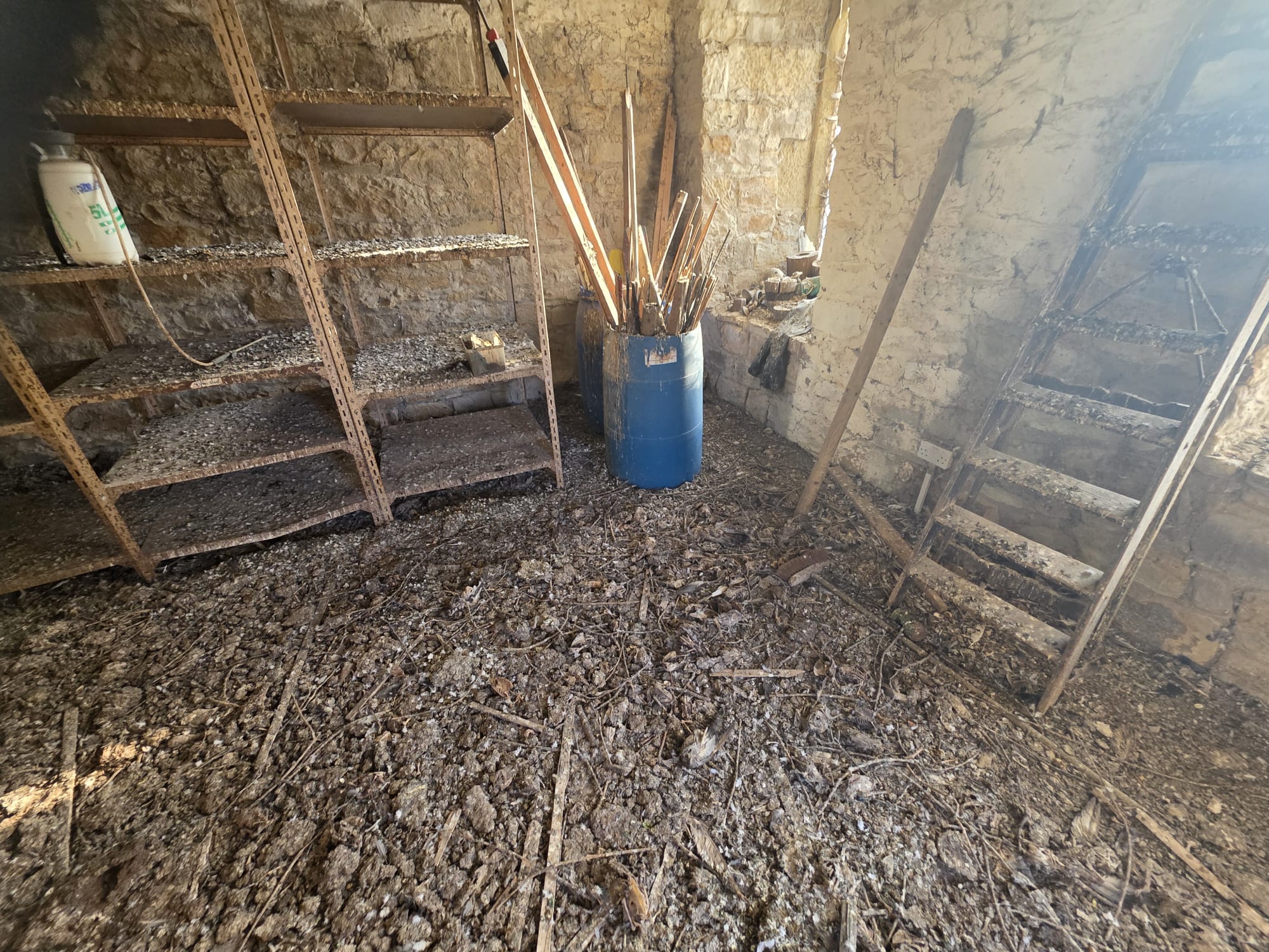 Extent of contamination inside the church